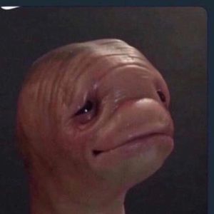 Meet your Posher, Adrian